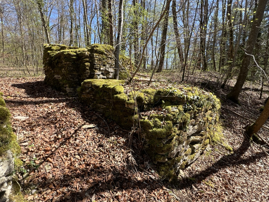 Mauerreste