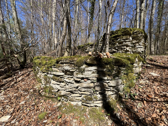 Mauerreste