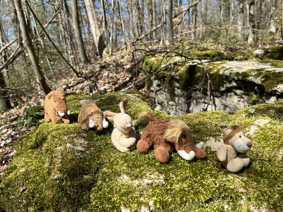Die drei plüschigen Mammuts, Ludwig und Hopps auf Mauerresten