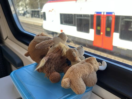Die drei plüschigen Mammuts, Ludwig und Hopps schauen aus dem Zugfenster