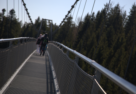 A Photo. The Skywalk in Bad Wildbad

Ein Photo. Der Skywalk in Bad Wildbad