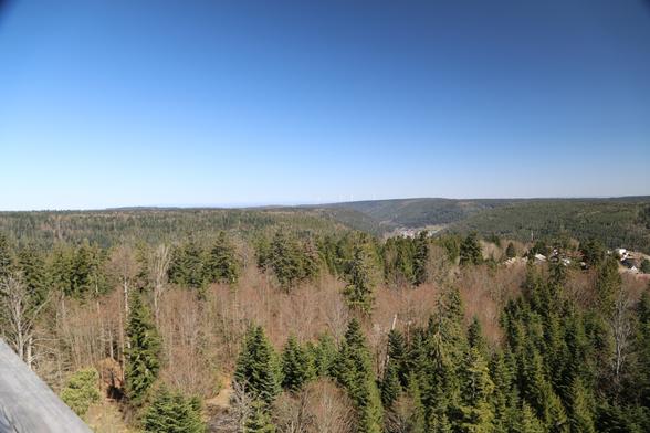 A Photo. A view from the tree-top path in Bad Wildbad

Ein Photo. Ein Blick von dem Baumwipfelpfad in Bad Wildbad