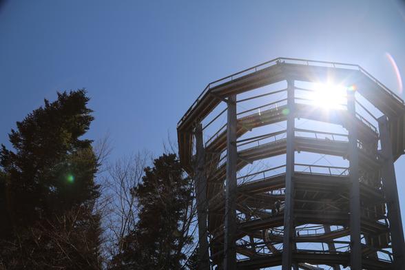 A Photo. The tree-top path in Bad Wildbad

Ein Photo. der  Baumwipfelpfad in Bad Wildbad