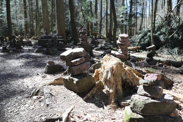 A Photo. The Black Forrest near Bad Wildbad; south-east of Stuttgart

Ein Photo. Der Schwarzwald bei Bad Wildbad