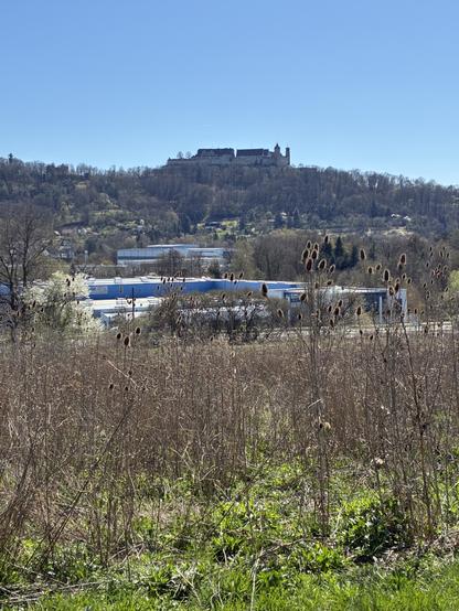 Veste Coburg in der Frühjahrssonne