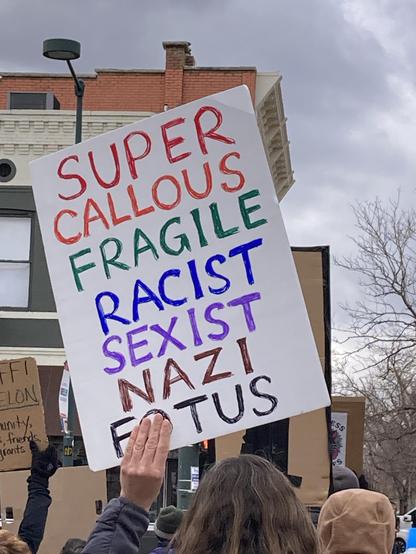A colorful handwritten sign held up by a woman protestor. It reads: super callous fragile racist sexist nazi potus.
