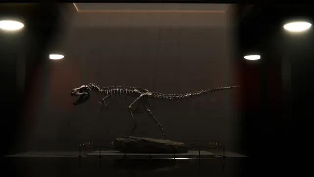 3D rendering of a posed T. Rex fossil, seen in profile in the middle of a museum at night, lit by light rays from above.