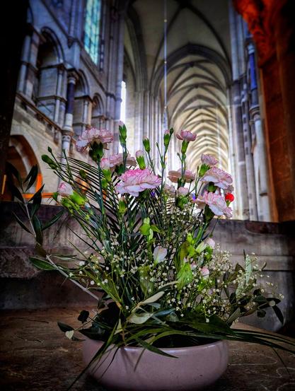A floral arrangement sits in the foreground, slightly off-centre, within the vast interior of the grand Magdeburg Cathedral. The arrangement is in a low, pale pink, round container and features delicate light pink and white carnations (Dianthus caryophyllus) with fringed petals, interspersed with sprigs of baby's breath (Gypsophila) and green foliage. Some of the carnations are fully open, while others are still in bud.
The background is softly blurred but reveals the impressive architecture of the building. Tall, slender columns rise towards arched ceilings with intricate ribbed vaulting. Large stained-glass windows are visible in the distance, allowing coloured light to filter into the space. The overall colour palette is muted, with the pale flowers contrasting gently against the darker stone and shadows of the interior. The setting suggests a place of worship or historical significance, with the floral arrangement adding a touch of natural beauty to the architectural grandeur.