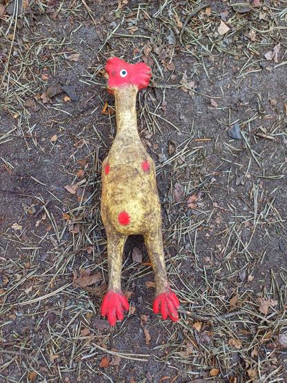 Spielzeughuhn für Hunde, auf dem Waldboden liegend