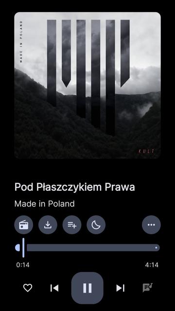 screenshot apki InnerTune z albumem MADE IN POLAND pt.: Kult