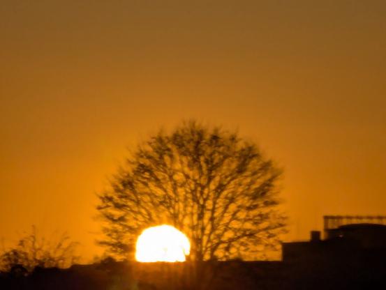 Sonnenuntergang am Tempelhofer Feld