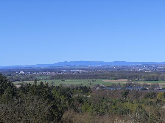 From the vantage point of a watchtower, I see a lush expanse of trees in the foreground, giving way to a sprawling grassland. Beyond that lies a bustling city, its buildings glinting in the sunlight, and in the far distance, a majestic mountain range rises against the horizon.