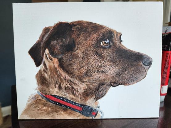 Painting of a brindle coat dog looking to the right and wearing a red and black collar on a white background