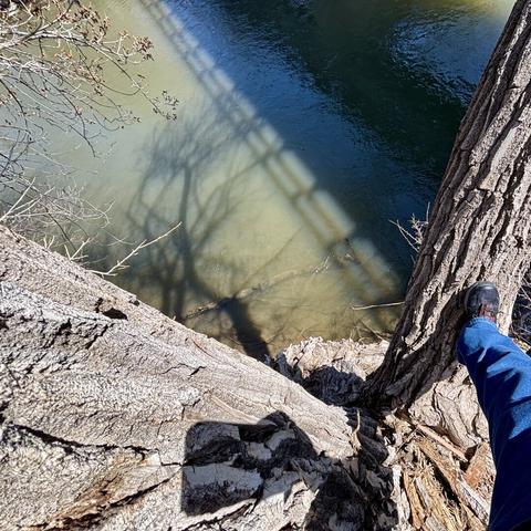 Looking down from a high branch over the river. My right foot is in the frame.