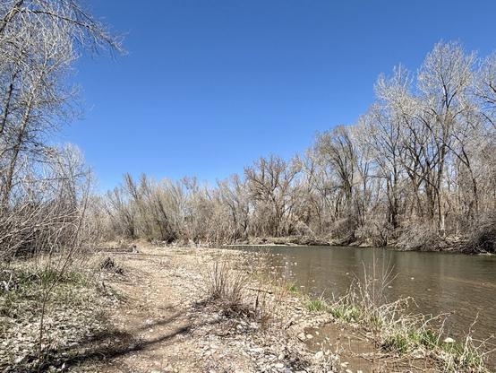 A long, open, rocky riverbank.
