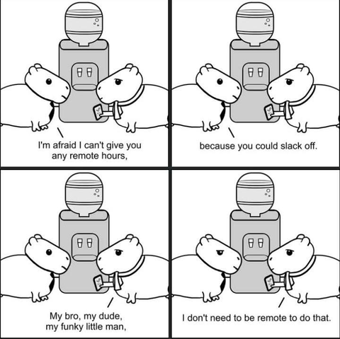 This lighthearted comic strip uses simple line drawings of capybaras, casually dressed, at an office water cooler.  The humor plays on the anxieties of remote work. The first panel shows a capybara requesting remote work hours, which is denied in subsequent panels. The final panel shows the capybara admitting they can slack off either way, creating a humorous contrast.  The overall tone is friendly and relatable.