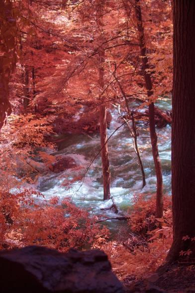 Infrared landscape photo of a flooded forest at the base of Fall Creek Falls, Tennessee. Trees glow with a warm amber tone, contrasting against the cool blue hues of rushing water. Light halation softens the image, and a subtle infrared parallax effect gives the scene a dreamy, surreal quality, as if the forest is caught mid-breath.