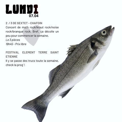 Lundi 07 04

2/3 de Sextet + Chafouin, concert kraut /branque / noise / rock - Le 3 Pièces - 20h45 Prix Libre

Festival Éléments Terre
Toute la semaine  - check la prog

Une photo de poisson