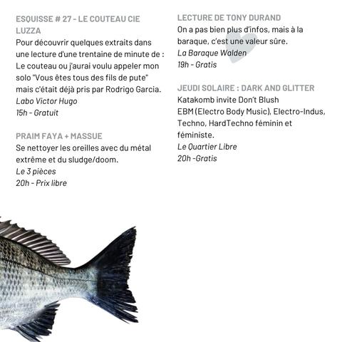 - Esquisse 27 "Le Couteau", compagnie Luaza - Labo Victor Hugo - 15 h gratuit
- Praim Faya + Massue, metal extrême et sludge / doom - le 3 Pièces, pl. de Gaulle - 20 h prix libre
- Lecture de Tony Durand - La Baraque Walden - 19 h gratis 
- jeudi solaire  : daark and glitter, electro EBM - Le Quartier Libre - 20h gratis
