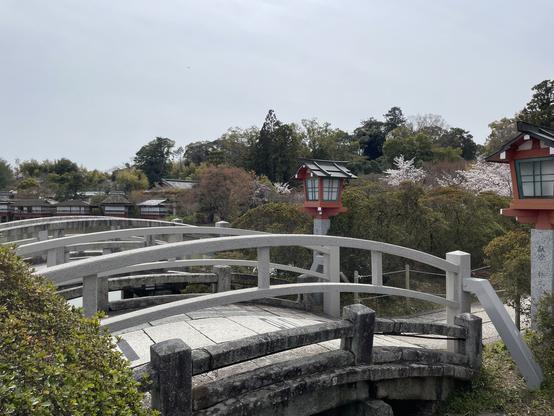 Bridges over the pond, with sakura looking white, and amenities on the far side of the pond