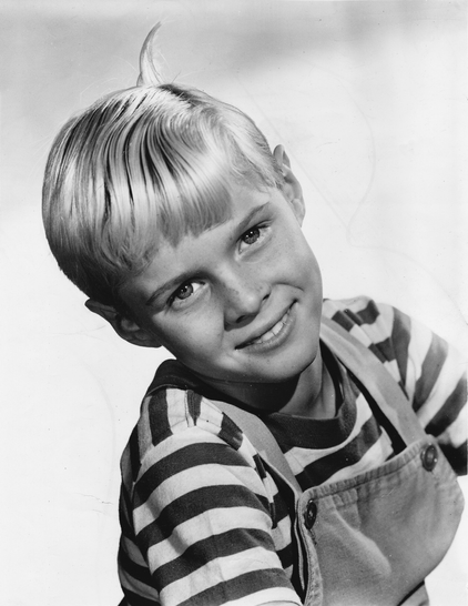 The actor, Jay North as Dennis the Menace
