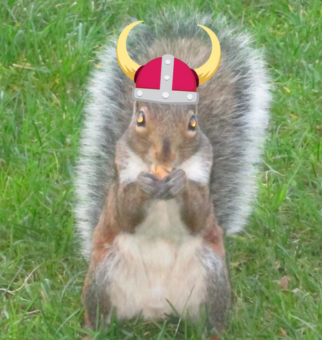 An Eastern Grey Squirrel standing on grass. An emoji-style horned “Viking” helmet has been added to the photo.