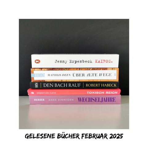 Auf dem Bild sind fünf Bücher auf einer weißen Fläche vor einer weißen Wand fotografiert. Die Bücher werden in der Caption noch einmal aufgelistet. Es sind die Bücher, die ich im Februar 2025 gelesen habe.