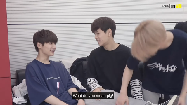 I.N and Seungmin sitting on a couch in a practice room, with Felix about to sit down next to them. Felix is slapping I.N's inner calf as he sits. Seungmin has a hand on I.N's thigh. I.N says, "What do you mean pig!"