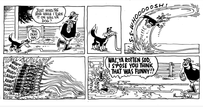 1. The dog sniffs at a hoe - Wal 'JUST HOLDTHE
HOSE WHILE I TURN IT ON WILL YA'

Dog  YEH OK Wal

2. Dog with hose in his mouth

3. Whoosh and he is dragged off his feet

4. whap whap whap, the beating continues

5. Dog sits in the middle of the water, Wal laughing 'WAL. YA ROTIEN SOD I S'POSE YOU THINK THAT WAS FUNNY!?'