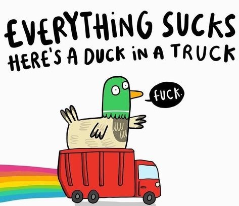 Cartoon of a glassy-eyed looking duk in a red truck, saying "fuck".  There's a rainbow streaming out behind the truck.  Text reads:
EVERYTHING SUCKS,  HERE'S A DUCK IN A TRUCK