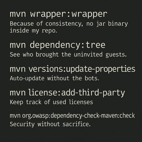 Listed maven commands, same as in the text