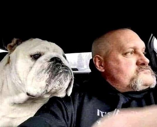 A dog & his owner sitting in the car, both are looking out the window & the resemblance between both of these individuals is striking.