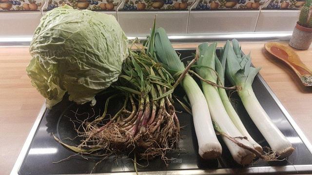Contenido de la cesta de la semana sobre una placa de inducción de cocina.
A la izquierda un repollo, luego un manojo de ajetes y cuatro puerros.
