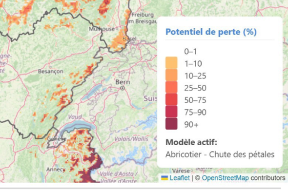 Carte illustrant le potentiel de perte  (chute des pétales) sur les abricotiers dans les zones de moyenne et haute montagne du Jura et des Alpes.
À droite, une échelle colorée du potentiel pourcentage de pertes.