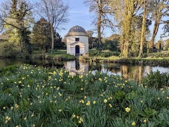 A large group of daffodils in front of an artificial watercourse. on the other side of the water a small pale stone building with a grey domed roof stands amongst mature trees. The arched doorway of the building with a shallow triangular pediment is reflected in the water. The photo is taken in the early evening with low bright sunshine from the left.