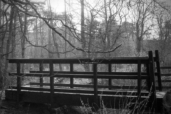 A black and white photo of a short bridge over a small gap with woods surrounding it