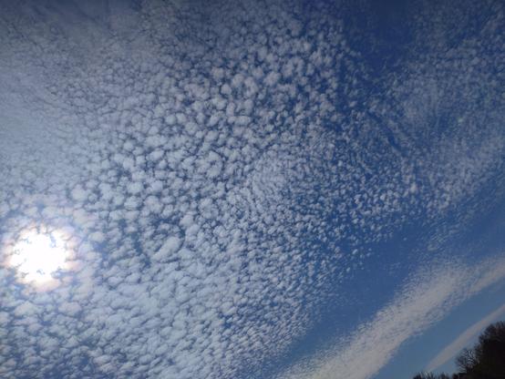 Ein dunkelblauer Himmel mit Sonne im linken Rand. Darüber ergießt sich ein sehr großes Feld von sehr kleinen weißen Wölkchen, die wie drüber gestreut über Himmel und Sonne wirken.