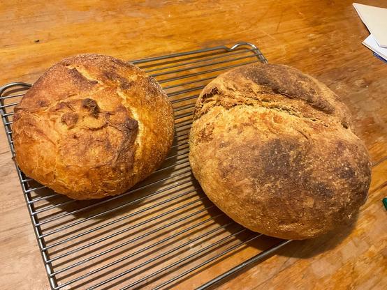 Two buttcrack breads together
