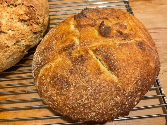 buttrack bread resembling the face of certain prez