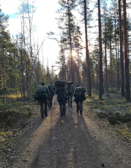 Takaa kuvattuna viisi maastouniformuissa olevaa, rinkkoja kantavaa ihmistä kävelemässä metsätietä mäntyjen ympäröiminä.