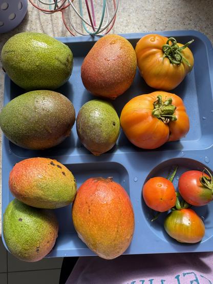 Mangos and tomatoes on a blue plate