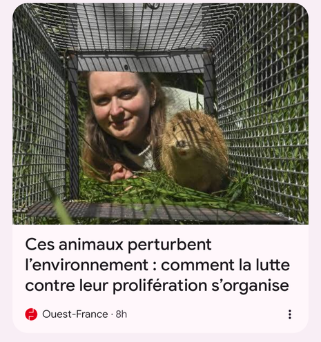 Titre de ouest-france : "Ces animaux perturbent l'environnement : comment la lutte contre leur prolifération s'organise"

L'article est illustré par une photo prise depuis l'intérieur d'une cage.  On y voit un rangondin (ou quelque du style) et une personne humaine à l'extérieur de la cage qui regarde vers l'objectif.