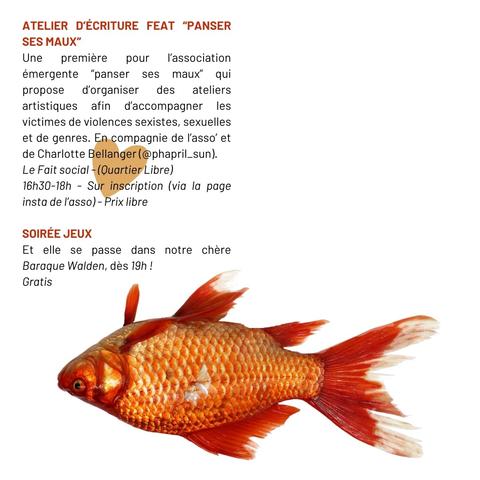 - Atelier d'écriture au sujet des VSS avec "Panser ses Maux" et Charlotte Bellanger - Le Fait Social (Quartier Libre, rue Malouet) - 16 h 30 prix libre, sur inscription 

- Soirée jeux - Baraque Walden, rue du pré-de-la-bataille. 19 h gratis

et un poisson rouge sur le dos