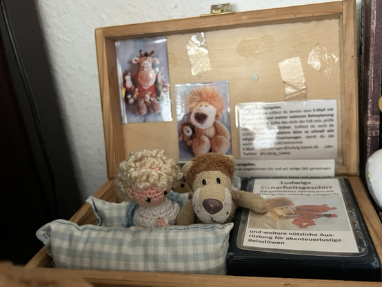 Ludwig in seinem Reisekistchen