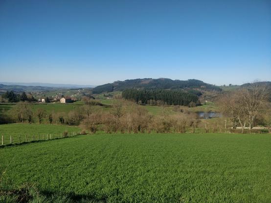 Photo de collines vers Amplepuis, on voit des pâturages, des arbres et une mare. Le ciel est bleu dans aucun nuages.