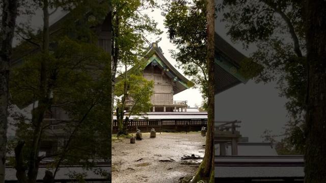 【山陰】島根の出雲へ一人旅vlog⛩️🐇＃１ #shorts