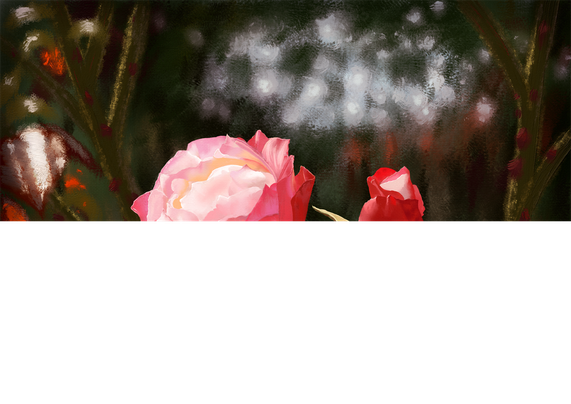 A digital painting of two dual coloured roses - red on the outer petals and pale pink in the centre. One is just about to open, the other fully open. Behind them, in rougher, more painterly brush strokes, are thorny stalks and vague impressions of dark brown and green foliage, with pale light showing through from behind.