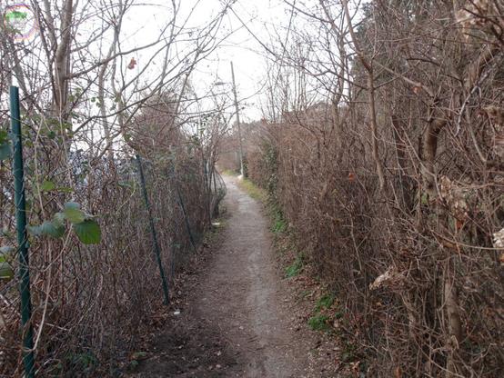 Schmaler unbefestigter Fußweg zwischen bewachsenen Zäunen in vegetationsarmer Jahreszeit