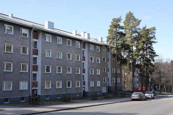 A photo of a grey apartment building and Scots pines on a sunny spring day.