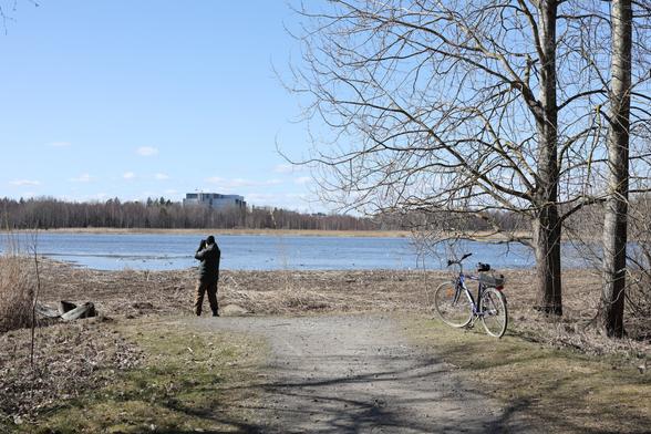 A photo of a birdwatcher watching birds with binoculars on a sunny spring day.